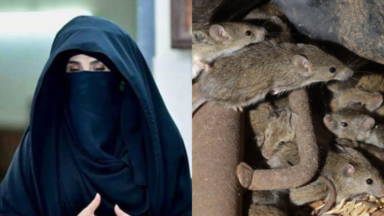 Bushra Bibi complains about rats in her cell