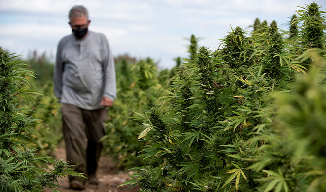 Cannabis Control & Regulatory Authority Bill