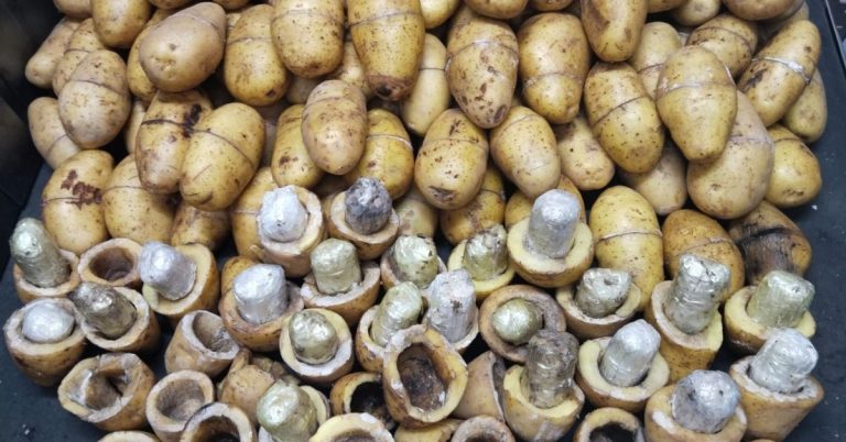 ANF recovers heroin hidden in potatoes