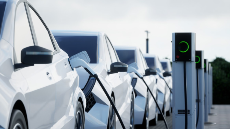 PM Shehbaz urges swift finalization of E-vehicle policy by November