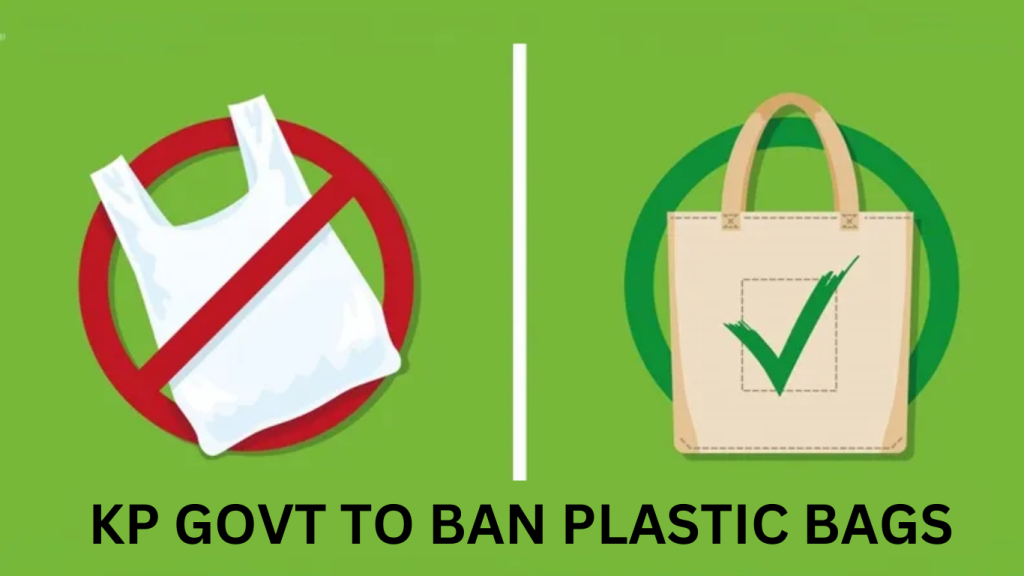 KP govt crack down on plastic bags