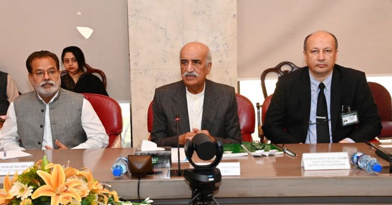 Ruling coalition withdraw from formation of constitutional court