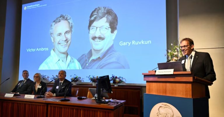 Nobel Prize in medicine awarded to US scientists