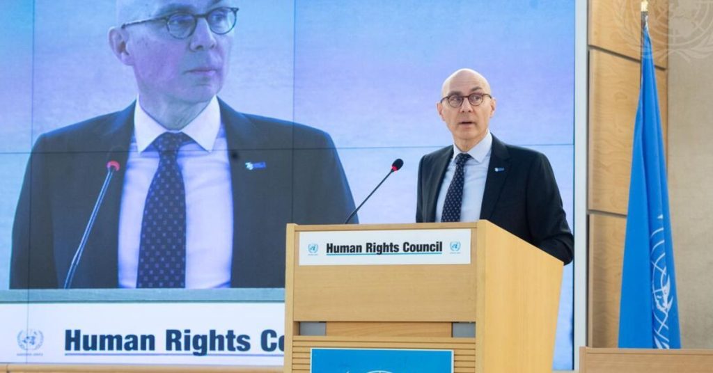 Constitutional amendments UN Human Rights Office