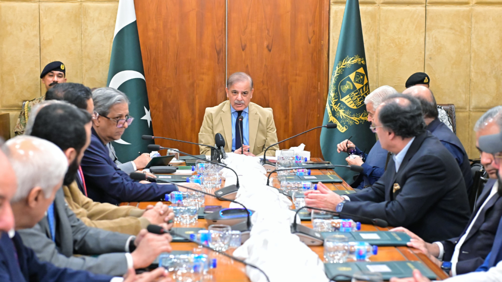 Shehbaz Sharif seeks performance reports; cabinet reshuffle likely