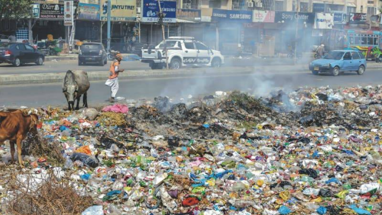Daily anti-littering lessons to be taught in schools