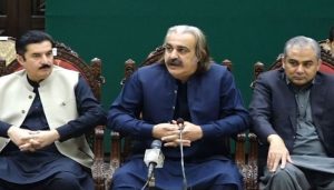 'Whatever I do, I do it for the founding chairman:' Gandapur