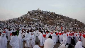 Government to prioritize pilgrims deprived of Hajj this time for next year
