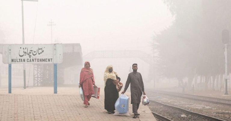 LHC halts tree cutting for Yellow Line project amid smog crisis