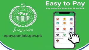 e-Pay Punjab reaches record tax collection of over Rs. 600 billion