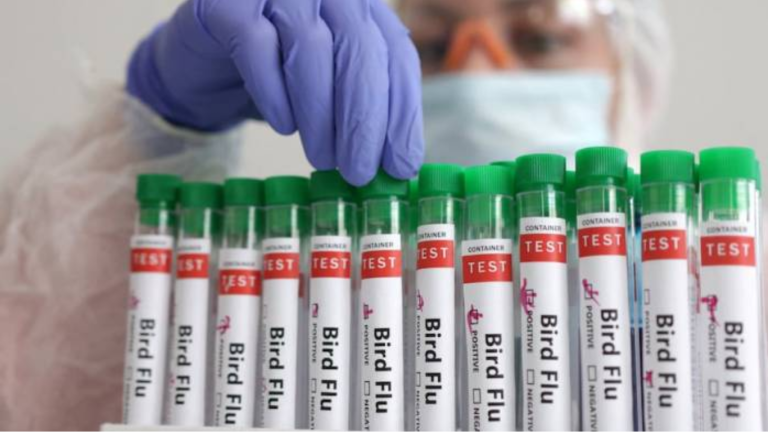 Canada reports first case of bird flu in teenager