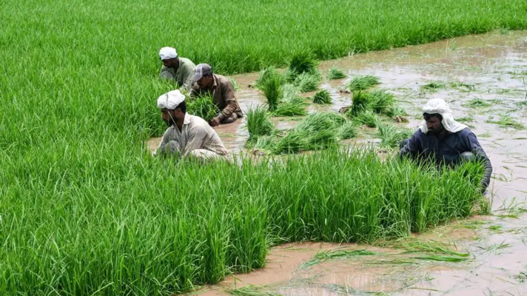 Good news for unemployed, govt announces Rs70,000 monthly stipend for THESE interns