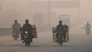 LHC halts tree cutting for Yellow Line project amid smog crisis