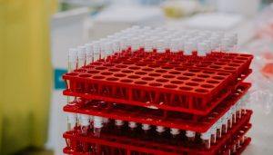 Lipopeptides: A Multifaceted Tool for Advancing Scientific Inquiry