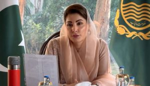 Punjab CM Maryam announces Rs 1 million aid for flood victims