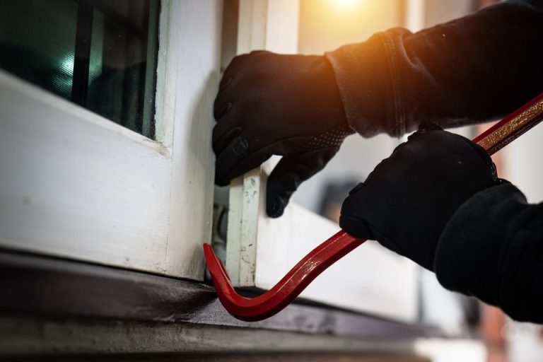 Burglars loot policeman's house