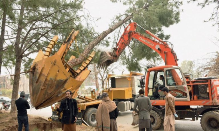 CDA tree transplanters