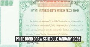 Prize bond draw January 2025