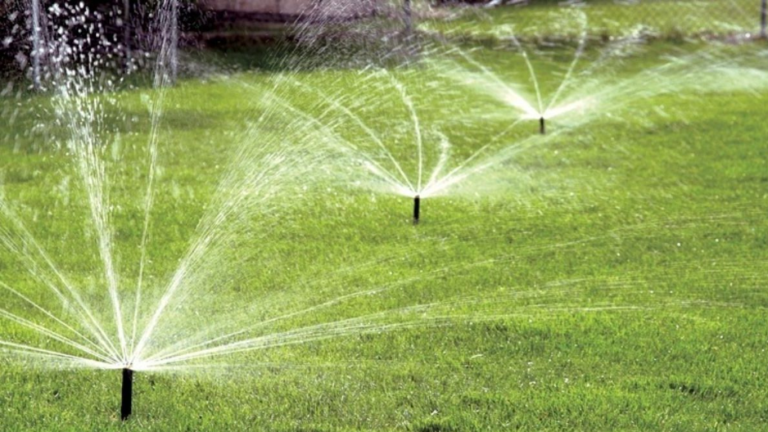 Punjab CM Maryam introduces water sprinkler systems to tackle air pollution