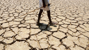 PMD issues drought warnings in Sindh amid decreased rainfalls