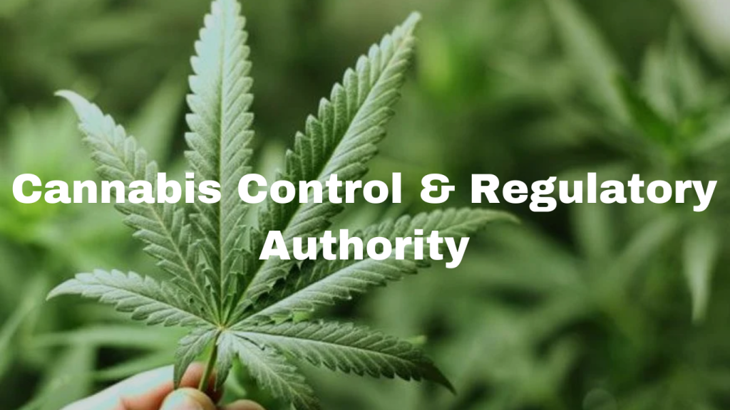 Gen. Zafarullah Khan appointed as DG of Cannabis Control & Regulatory Authority
