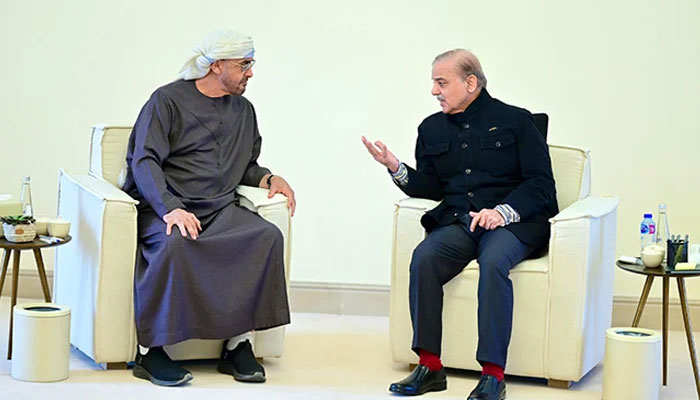 UAE seeks collaborative partnership with Pakistan in THESE two sectors