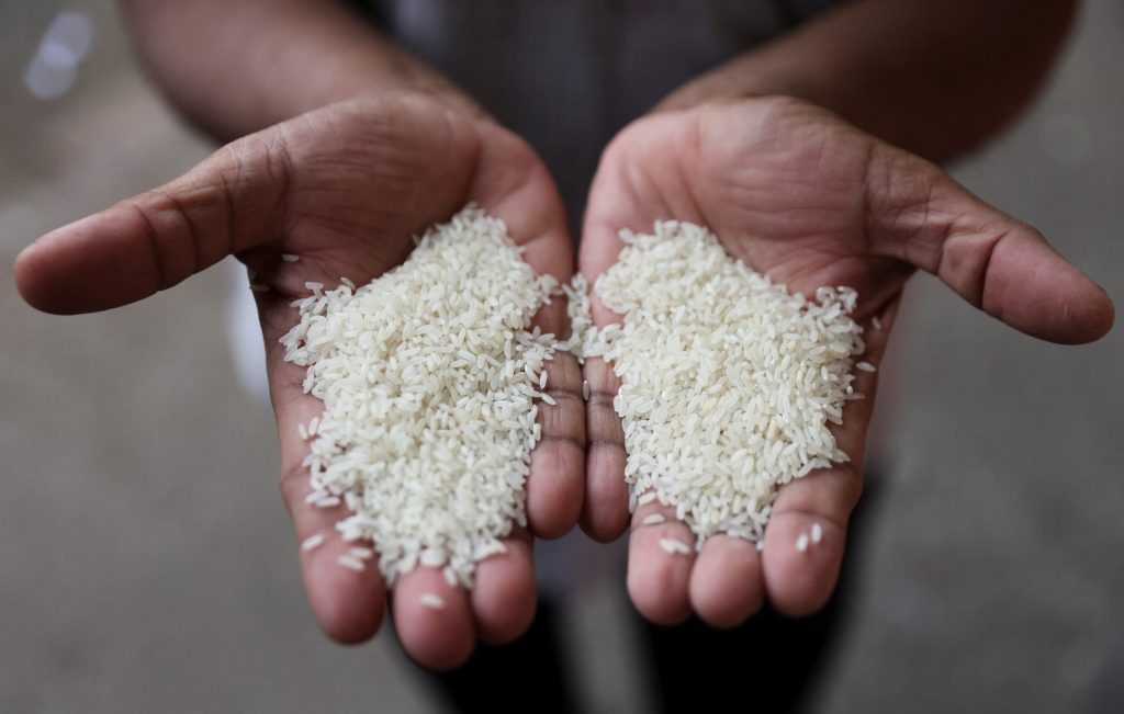 unfit rice exports