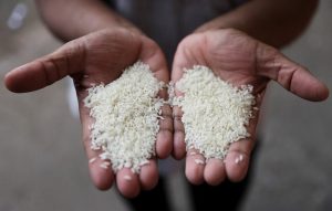 unfit rice exports