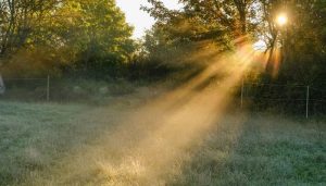 Weather update: Extreme cold fog to be observed