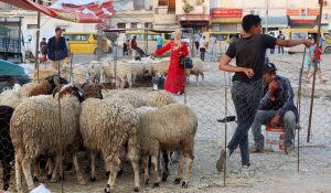 Expected Eid-ul-Azha holidays in Pakistan