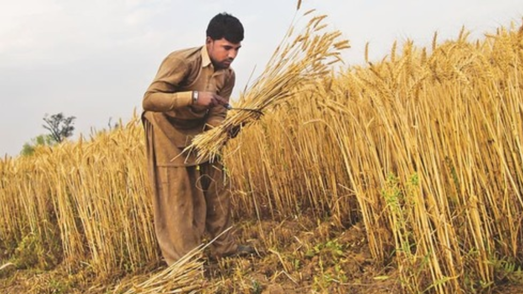 Agriculture Income Tax Bill 2025