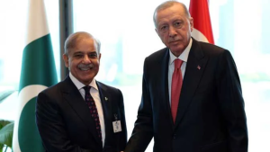 Erdogan praises Pakistan role in regional ceasefire