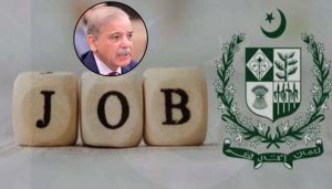 Govt unveils National Youth Employment Policy to boost job opportunities