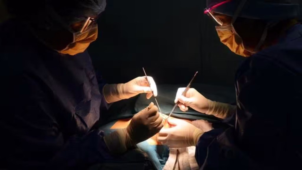 kidney trafficking
