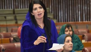 FIA summons PTI's Alia Hamza over social media misuse