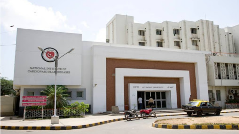 Diploma-holding plumber promoted to Grade-18 officer at NICVD