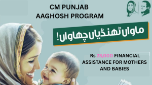 Punjab CM Maryam announces Rs23,000 financial assistance for pregnant women