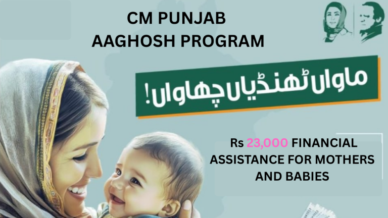 Punjab CM Maryam announces Rs23,000 financial assistance for pregnant women
