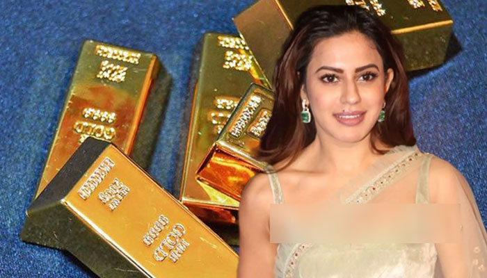 Indian actress detained for smuggling 14.8 kg gold at Bengaluru airport