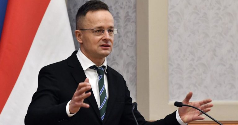 Hungarian FM voiced support for extension of GSP Plus status for Pakistan