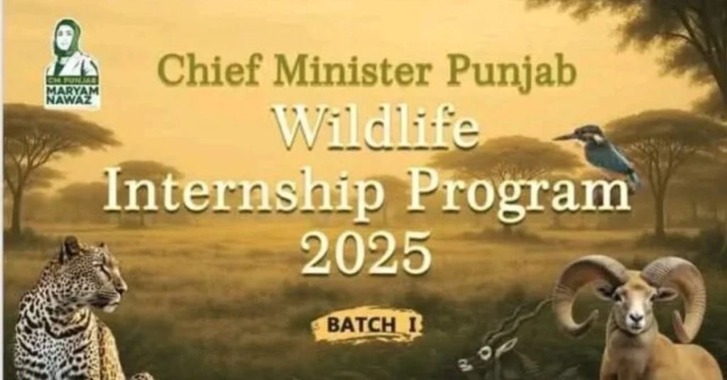CM Punjab Wildlife Internship