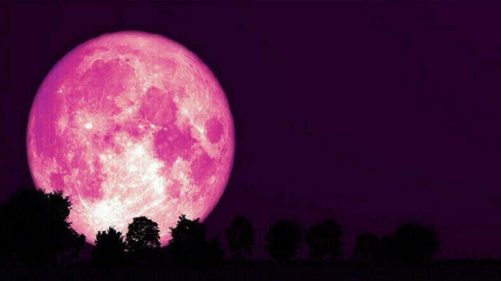 Pakistan to witness Pink Moon on April 13