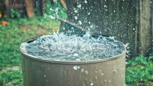 Weather Alert: PMD forecast rain in various parts of country