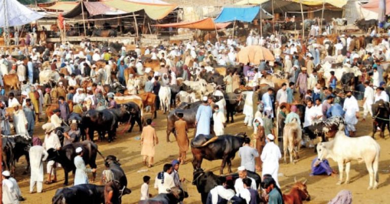 Punjab police tightens security in cattle markets across province