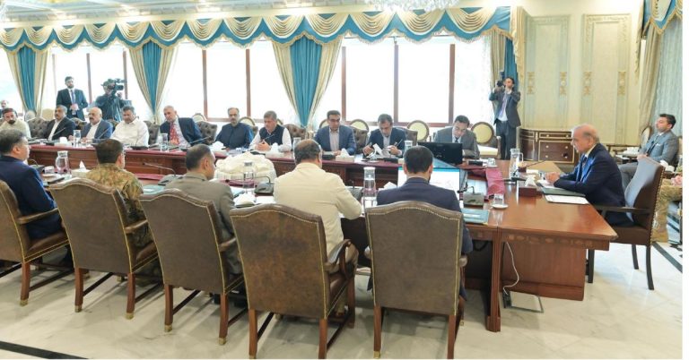 PM Shehbaz vows sustainable power sector reforms post Rs. 7.5/unit tariff cut