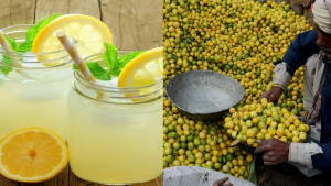 Lemon prices soar to Rs800 per kg amid scorching heat in Pakistan
