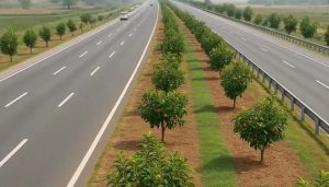 Pakistan launches initiative to plant fruit trees along highways & motorways