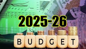 Budget 2025–26: Govt plans new taxes on agriculture and freelance sectors