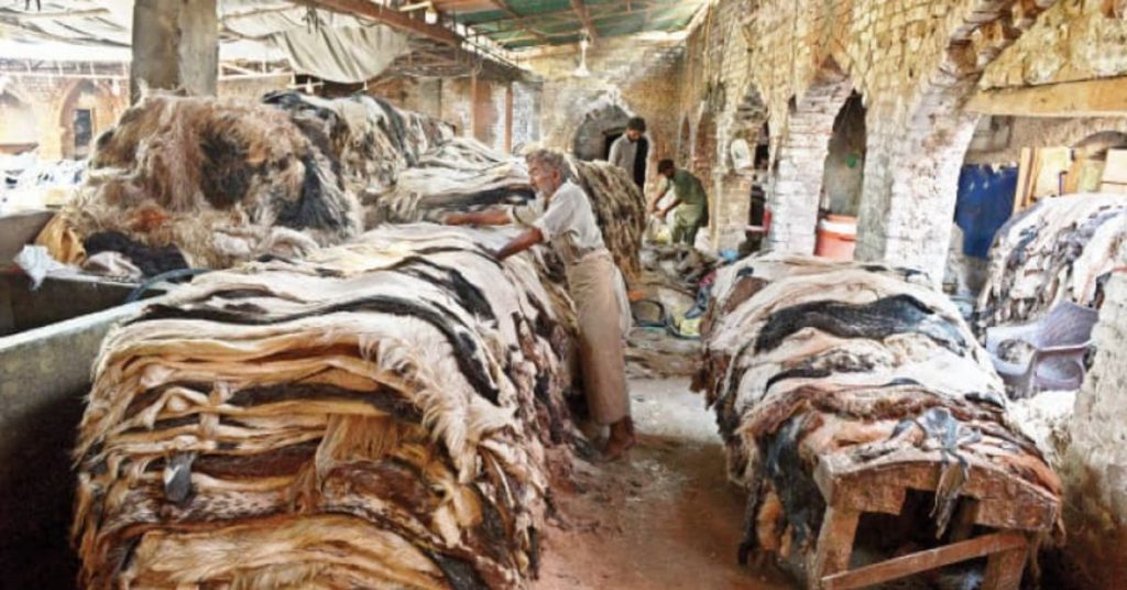 Punjab govt bars donation of animal hides to banned outfits