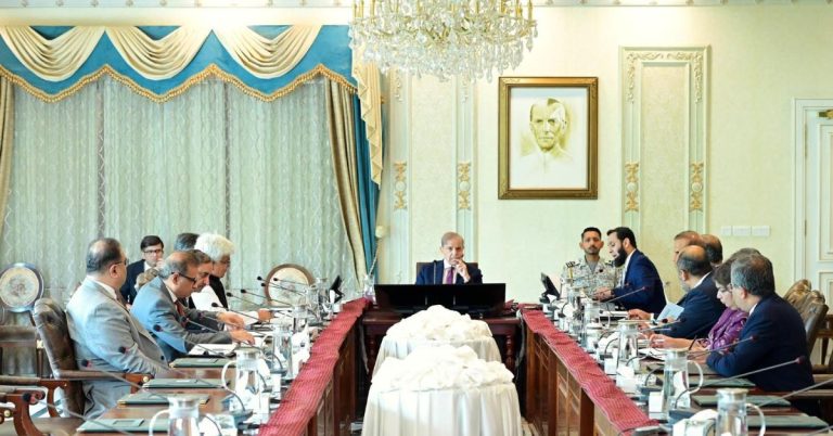 PM Shehbaz links institutional reforms to Pakistan's global economic rise